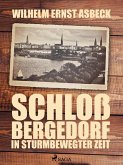Schloss Bergedorf in sturmbewegter Zeit (eBook, ePUB)