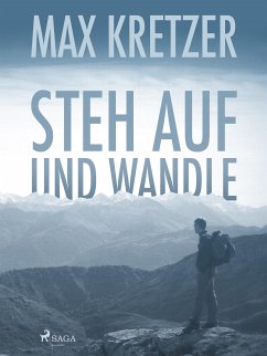 Steh auf und wandle (eBook, ePUB) - Kretzer, Max