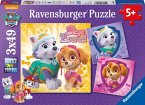 Ravensburger 08008 - Disney, Paw Patrol, Bezaubernde Hundemädchen