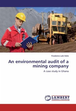 An environmental audit of a mining company