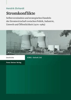 Stromkonflikte (eBook, PDF) - Ehrhardt, Hendrik