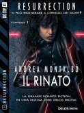 Il rinato (eBook, ePUB)