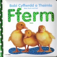 Babi Cyffwrdd a Theimlo/Baby Touch and Feel: Fferm/Farm - Wen, Dref