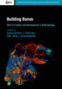 Building Bones: Bone Formation and Development in Anthropology