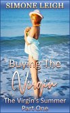 The Virgin's Summer - Part One (Buying the Virgin, #13) (eBook, ePUB)