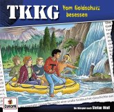 Vom Goldschatz besessen / TKKG Bd.201 (1 Audio-CD)