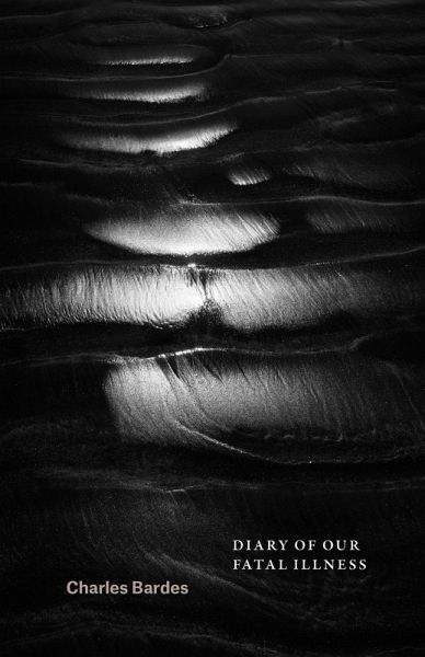 Diary of Our Fatal Illness (eBook, ePUB)