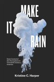Make It Rain (eBook, ePUB)