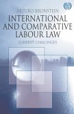 International and Comparative Labour Law (eBook, PDF)