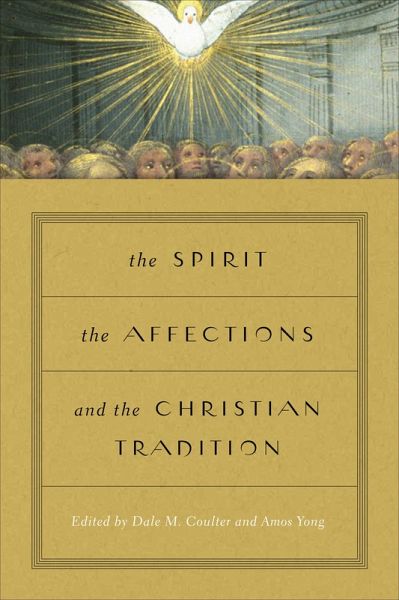 The Spirit, the Affections, and the Christian Tradition (eBook, ePUB)