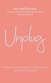 Unplug (eBook, ePUB)