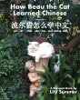 How Beau the Cat Learned Chinese - Bild 1