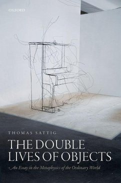 The Double Lives of Objects - Sattig, Thomas