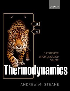 Thermodynamics - Steane, Andrew M