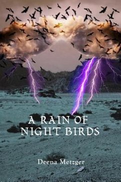 A Rain of Night Birds - Metzger, Deena