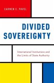 Divided Sovereignty