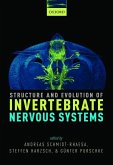 Structure and Evolution of Invertebrate Nervous Systems