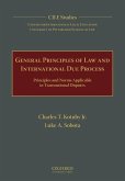 General Principles of Law and International Due Process