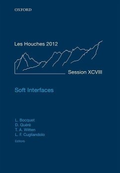 Soft Interfaces - Bocquet, Lyderic