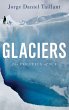 Glaciers - Bild 1