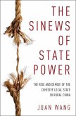 The Sinews of State Power