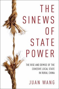 The Sinews of State Power - Wang, Juan