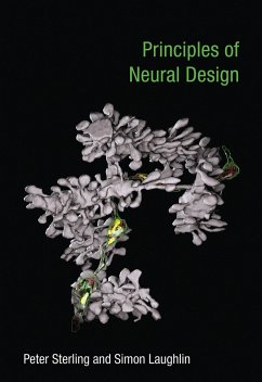 Principles of Neural Design - Sterling, Peter;Laughlin, Simon
