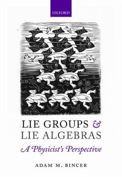 Lie Groups and Lie Algebras - A Physicist's Perspective - Bincer, Adam M
