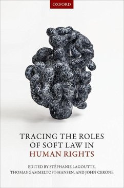 Tracing the Roles of Soft Law in Human Rights