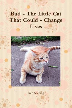 Bud - The Little Cat That Could - Change Lives - Seering, Dan