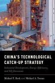 China's Technological Catch-Up Strategy: Industrial Development, Energy Efficiency, and Co2 Emissions