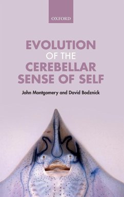Cover Evolution of the Cerebellar Sense of Self
