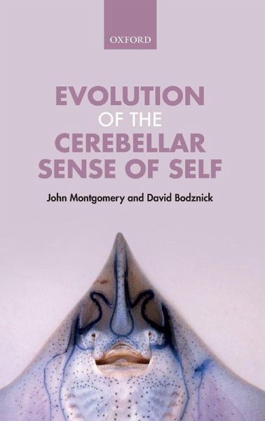 Evolution of the Cerebellar Sense of Self Evolution of the Cerebellar Sense of Self