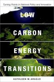 Low Carbon Energy Transitions