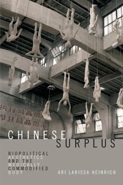 Chinese Surplus - Heinrich, Ari Larissa