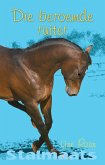Stalmaats 5 (eBook, ePUB)