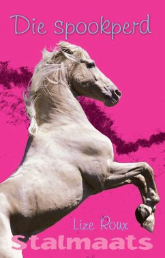 Cover Stalmaats 4 (eBook, ePUB)