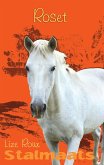 Stalmaats 8 (eBook, ePUB)