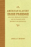 American Slavery, Irish Freedom (eBook, ePUB)