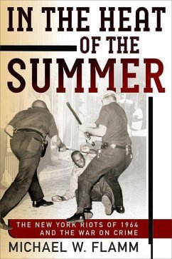 In the Heat of the Summer (eBook, ePUB) - Flamm, Michael W.