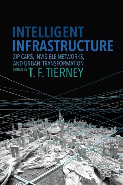 Intelligent Infrastructure (eBook, ePUB)