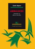 Andaluces (eBook, PDF)