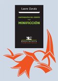 Cartografías del cuento y la minificción (eBook, PDF)