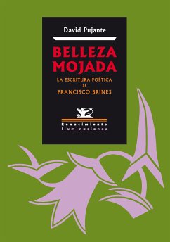 Belleza mojada (eBook, PDF) - Pujante, David