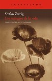 Los milagros de la vida (eBook, ePUB)