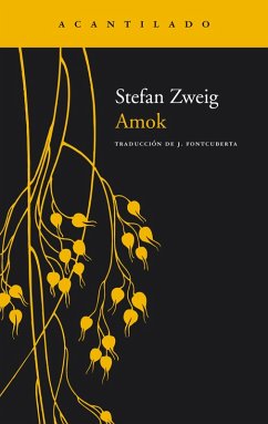 Amok (eBook, ePUB) - Zweig, Stefan