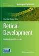 Retinal Development - Bild 1