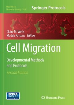 Cover Cell Migration