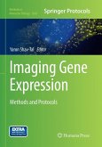Imaging Gene Expression
