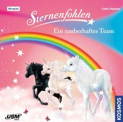 Ein zauberhaftes Team / Sternenschweif Bd.9 (1 Audio-CD) - Chapman, Linda